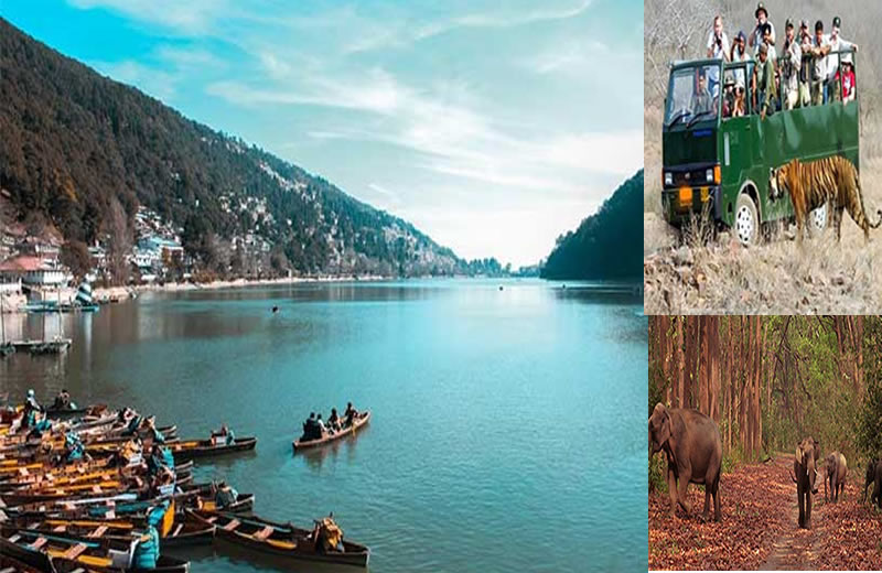 Jim Corbett tour package from Delhi